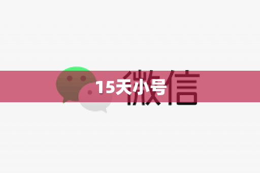 15天小号