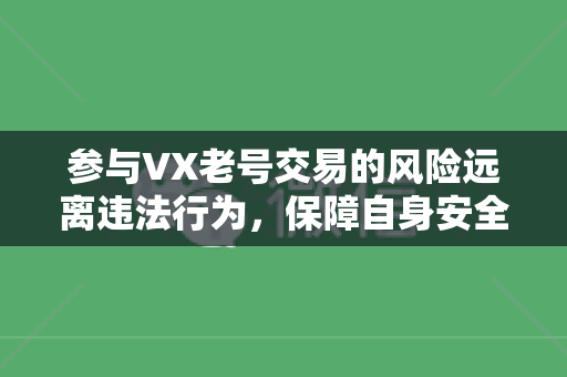 参与VX老号交易的风险远离违法行为，保障自身安全