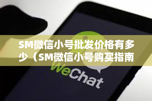 SM微信小号批发价格有多少（SM微信小号购买指南）