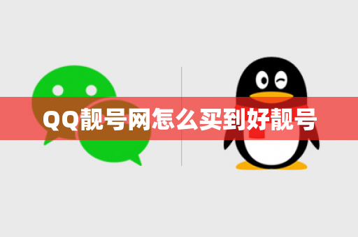 QQ靓号网怎么买到好靓号